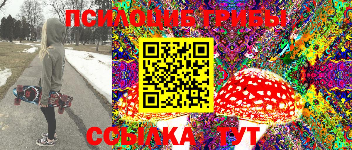 Галлюциногенные грибы Psilocybine cubensis Владикавказ