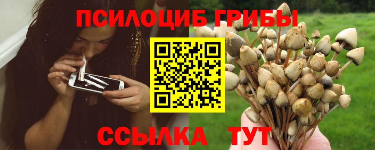 Галлюциногенные грибы прущие грибы  Вход с VPN  Владикавказ 